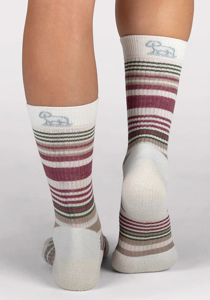 Womens Everyday Crew Socks - Buttercream Stripe - Image 5