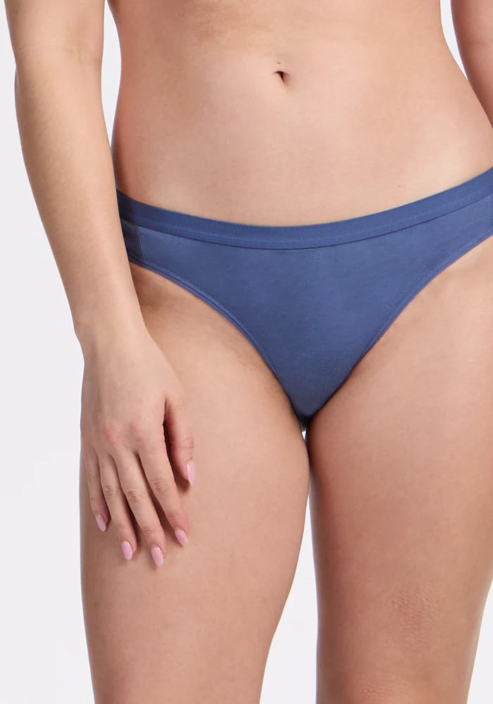 Roxie Bikini Underwear - Skyline - Image 3